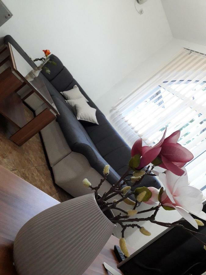 Apartman Samardzic Trebin Dış mekan fotoğraf